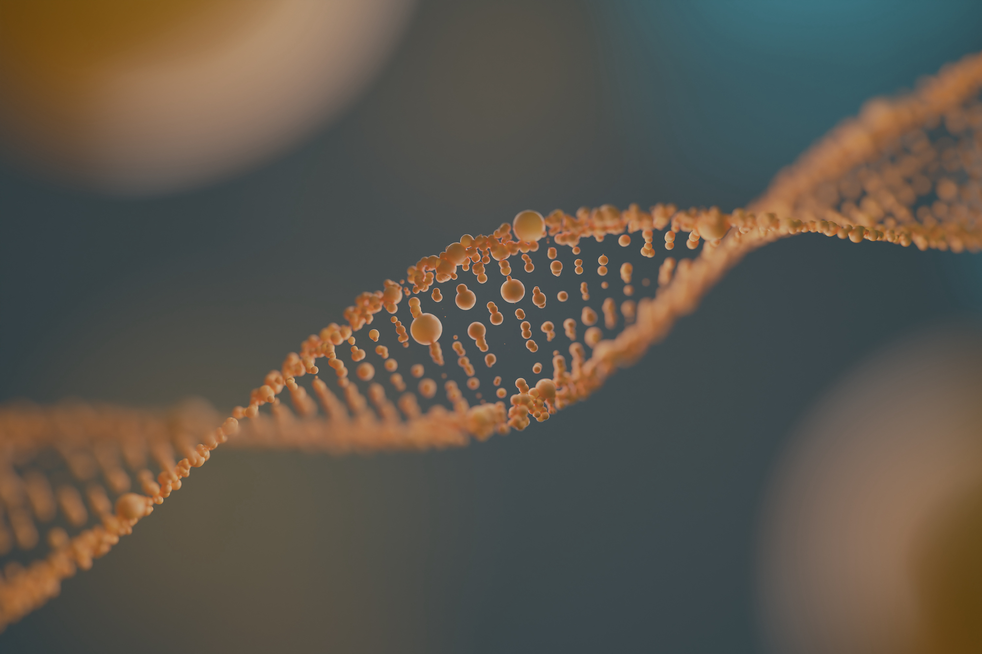 The_Structure_and_Function_of_Cells